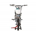 Ice Bear Roost (PAD125-1F) 125cc, Fully Automatic, Air Cooled, Electric start