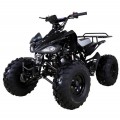 Taotao Cheetah Mid Size ATV 125 107CC, Air cooled, 4-Stroke, 1-Cylinder, Automatic with Reverse - Fully Assembled and Tested