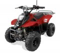 NEW RPS CRT 110-6S ATV 110CC AIR COOLED, SINGLE CYLINDER 4 STROKE 0.0 star rating Write a review