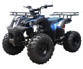 Taotao TFORCE Mid Size ATV 135D, 107CC Air Cooled, 4-Stroke, 1-Cylinder, Automatic with Reverse ATV - Fully Assembled and Tested