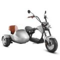 Eahora M1P + Sidecar - Space Silver