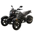 New 200cc Tryker Trike Scooter Gas Moped Fully Automatic with Reverse