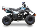 Icebear Dyno-R(PAH110-2R) 110Cc Atv, Fully Automatic With Reverse, Remote Control Kill Switch