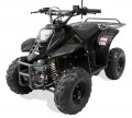 Trailmaster T110 ATV 6'' Youth sports Hunters style