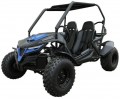New TrailMaster Cheetah 200E EFI Go Kart, 4-Stroke, Single Cylinder, Air Cooled, Automatic With Reverse