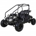 Taotao GK110 110CC Youth Go Kart, Air Cooled, 4-Stroke, 1-Cylinder, Automatic with Reverse - Fully Assembled And Tested