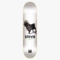 DGK G.O.A.T. Stevie Skateboard Deck