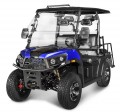 New Vitacci Rover 300 EFI Golf Cart Fuel Injected 287Cc (Free Windshield Included)