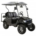 Apollo E-Bolt Electric Off-Road Golf Cart, Alloy Wheels – Led 48V/4000W,150A - Assembled And Tested