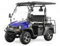 Blue - New Trailmaster Taurus 200GV UTV, Gas Golf Cart