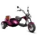 Eahora M1P + Sidecar - Purple